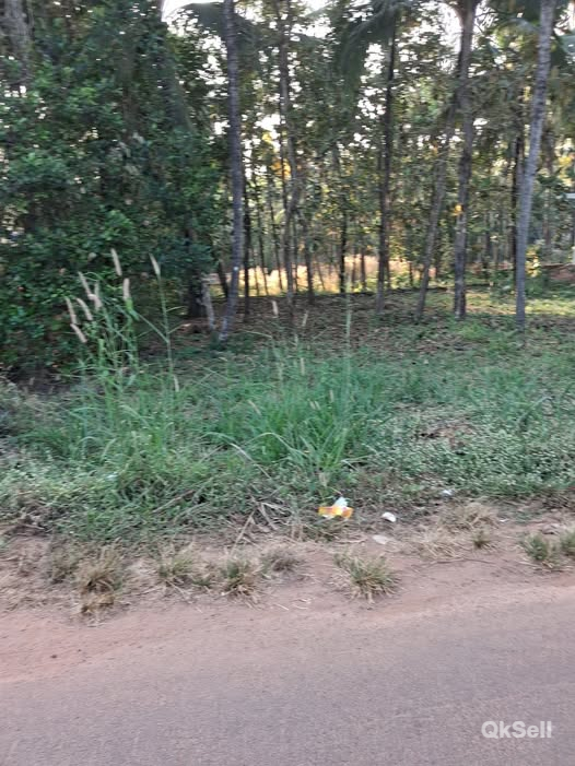 10 cent Land for sale at near Mavunkal,Kasaragod