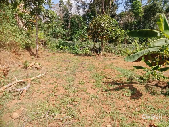 16 cent land for sale at Pambadi Chennampally,Kottayam