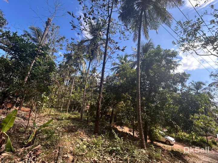 13.5 cent Land for sale at Perinthalmanna Vettathoor, Pachirippara,Malappuram