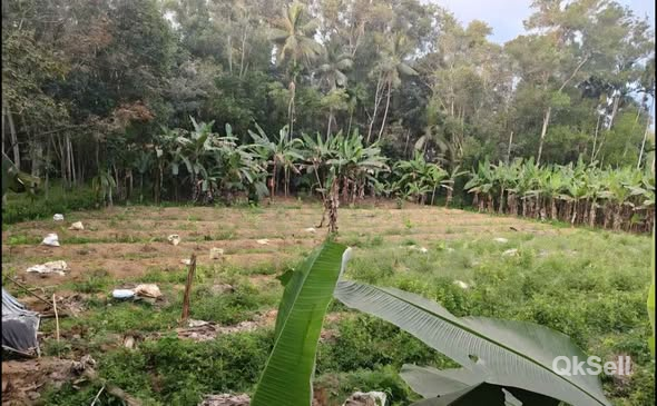 50 cent Land for sale at kattakada,Thiruvananthapuram
