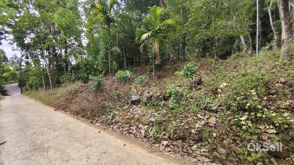 1 acre 5 cent land for sale at Chengalam kanjiramattam,Kottayam