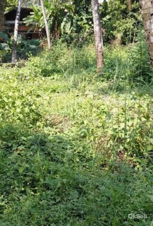 17 cent Land for sale at Kozhikode  Civil Station 