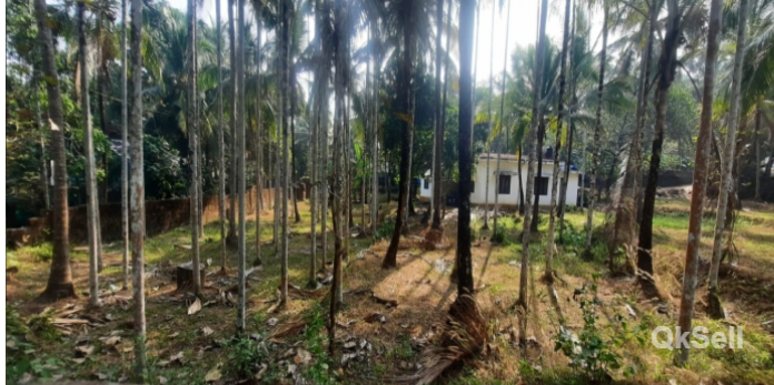 16.9 cent Land for sale at MORAYUR,EDAPARAMBA,Malappuram