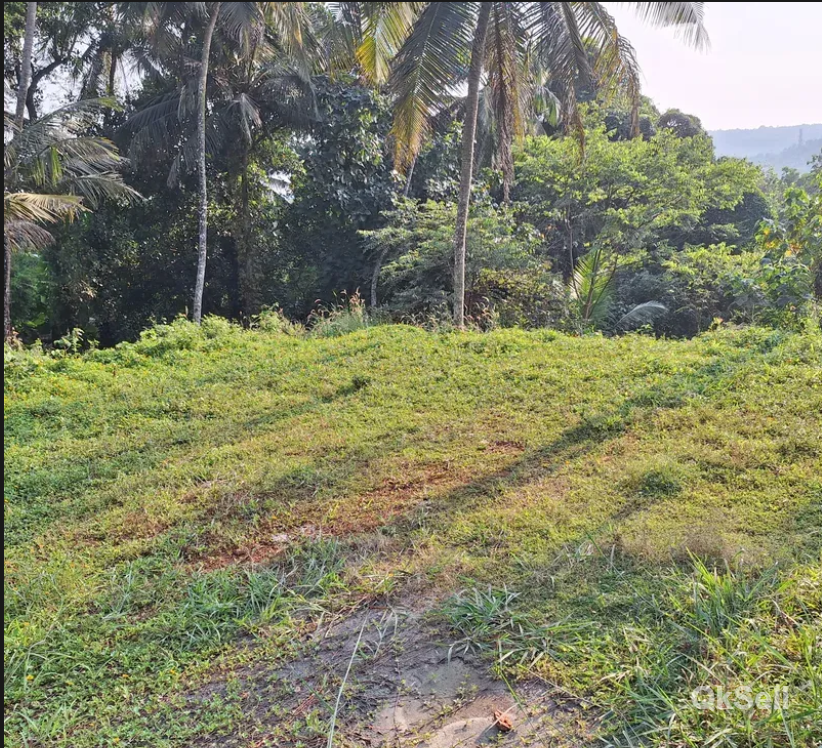 21 cent Land for sale at ottakkal Parapur Thekkakulamb,Malappuram