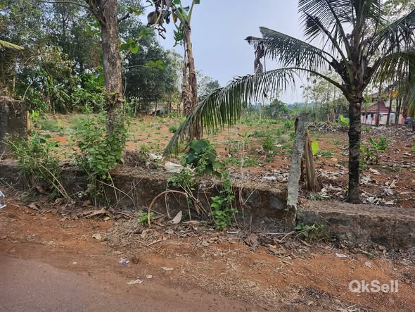 7,8,10 cent Plots for sale at Near Kottayam Changanassery Ithithanam Podippara 