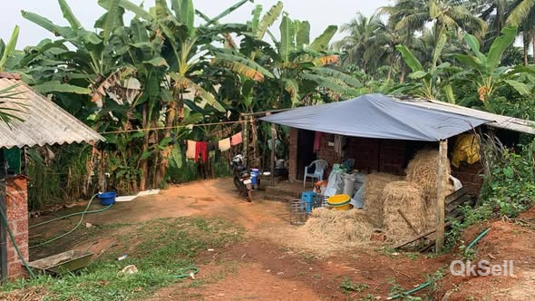 85 cent for sale at  Near Peringom, Kannur