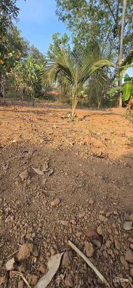 6 cent Land for sale at vazhayila mukkola road,Thiruvananthapuram