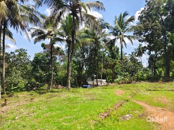15 cent Land for sale at Malappuram, Kadungapuram
