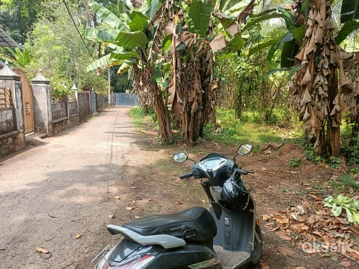 24 cent Land for sale at Pandalam Kaipattur bus route,Pathanamthitta