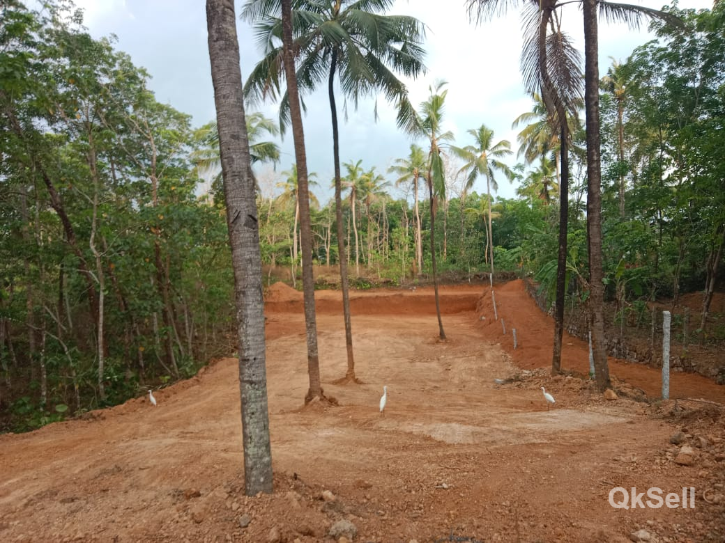 20 cent Land for sale at ayoor town,Attara Ambalamukku,Kollam