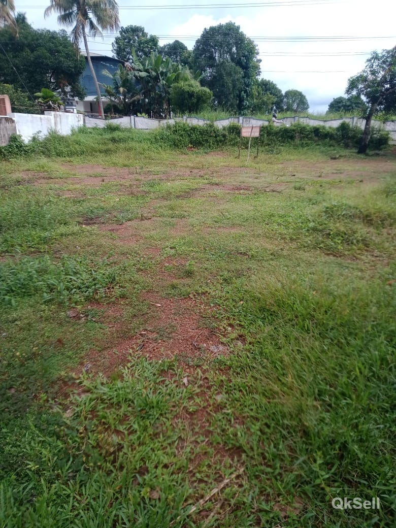 16.5 cents land for sale at Arayankavu,Kanjiramattom-Thalayolaparamba route, Ernakulam