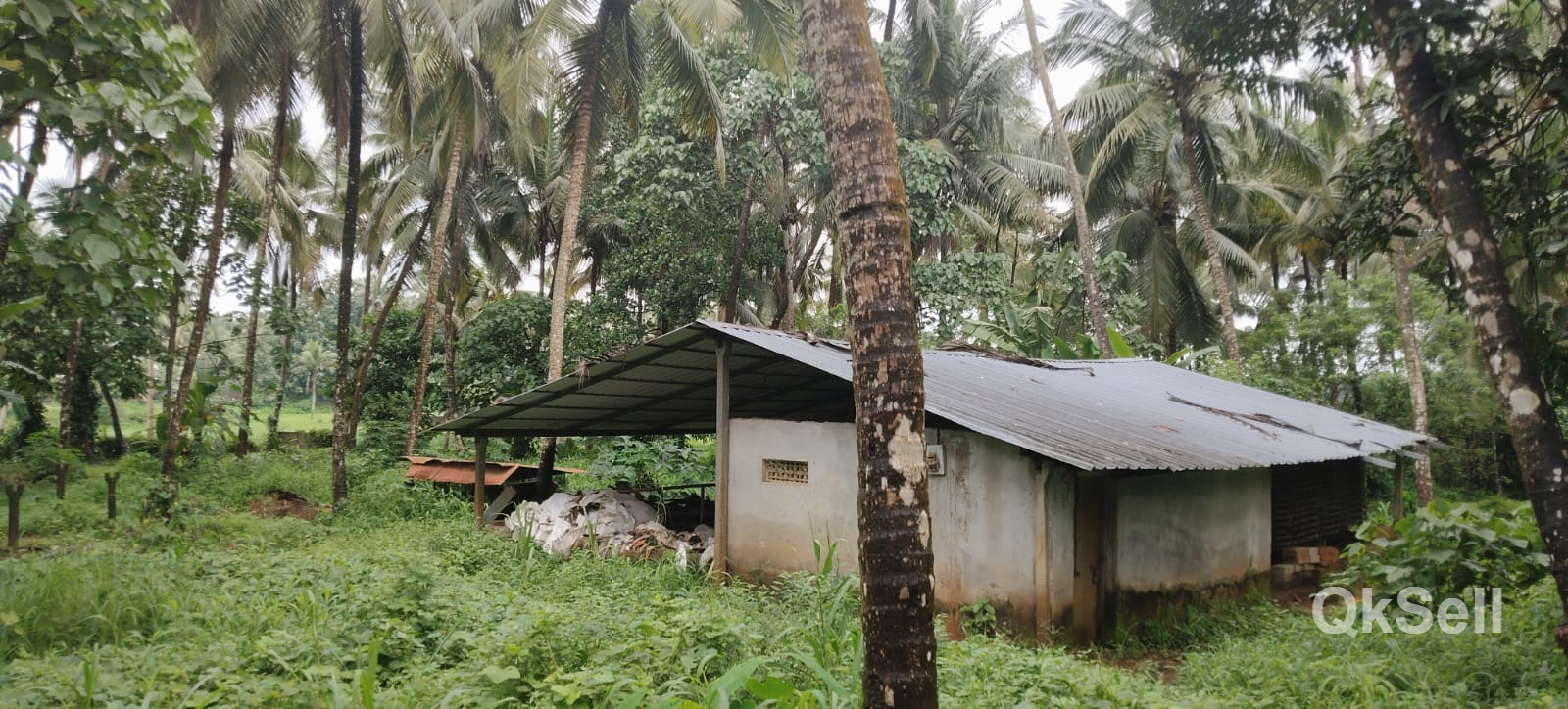 47 cent Land for sale at Kunnamkulam → Vadakkanchery Road,Marathancode,Thrissur