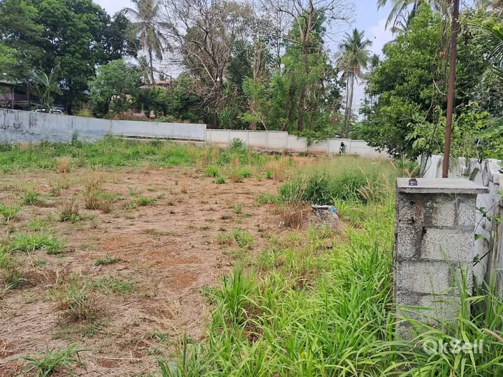 17.5 cent Land for sale at near BVB school,Thrissur