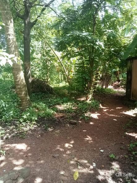 28 cent Land for sale at Parippally road side, Kollam Paravoor