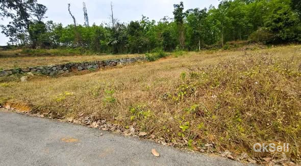 15 cent Land for sale at Koorali Pallikkathodu route,Kottayam