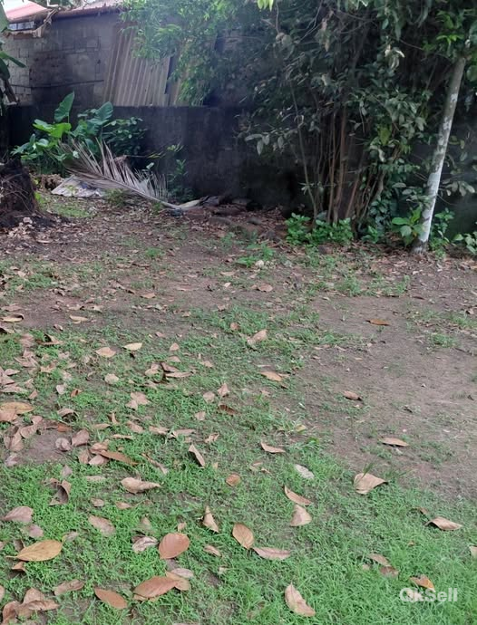 18 cent Land for sale at Kozhikode  Karikkamkulam 