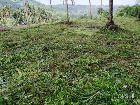 25 cent Plot for sale at Malappuram, Perinthalmanna Kottakkal route