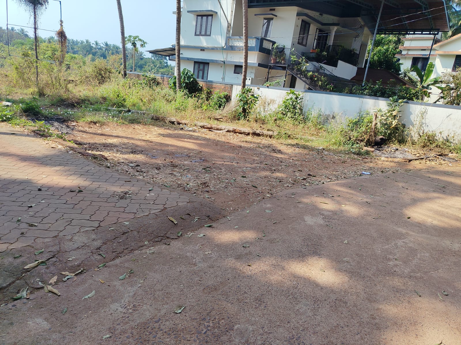 7.5 cent Land for sale at Vidyanagar,Kasaragod