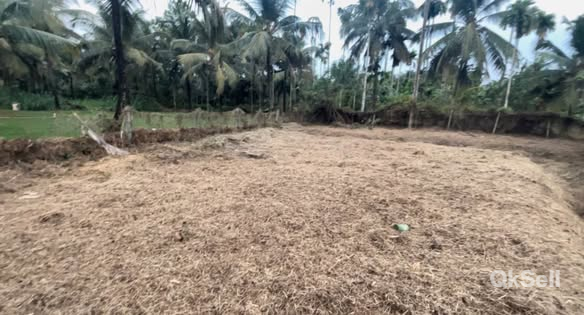 35 cent Land for sale at Pattikkad,Thrissur