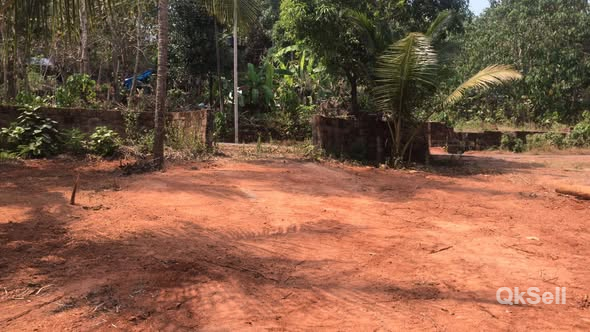 8 cent Land for sale at Payyannur Edatt' KVRoad,Kannur
