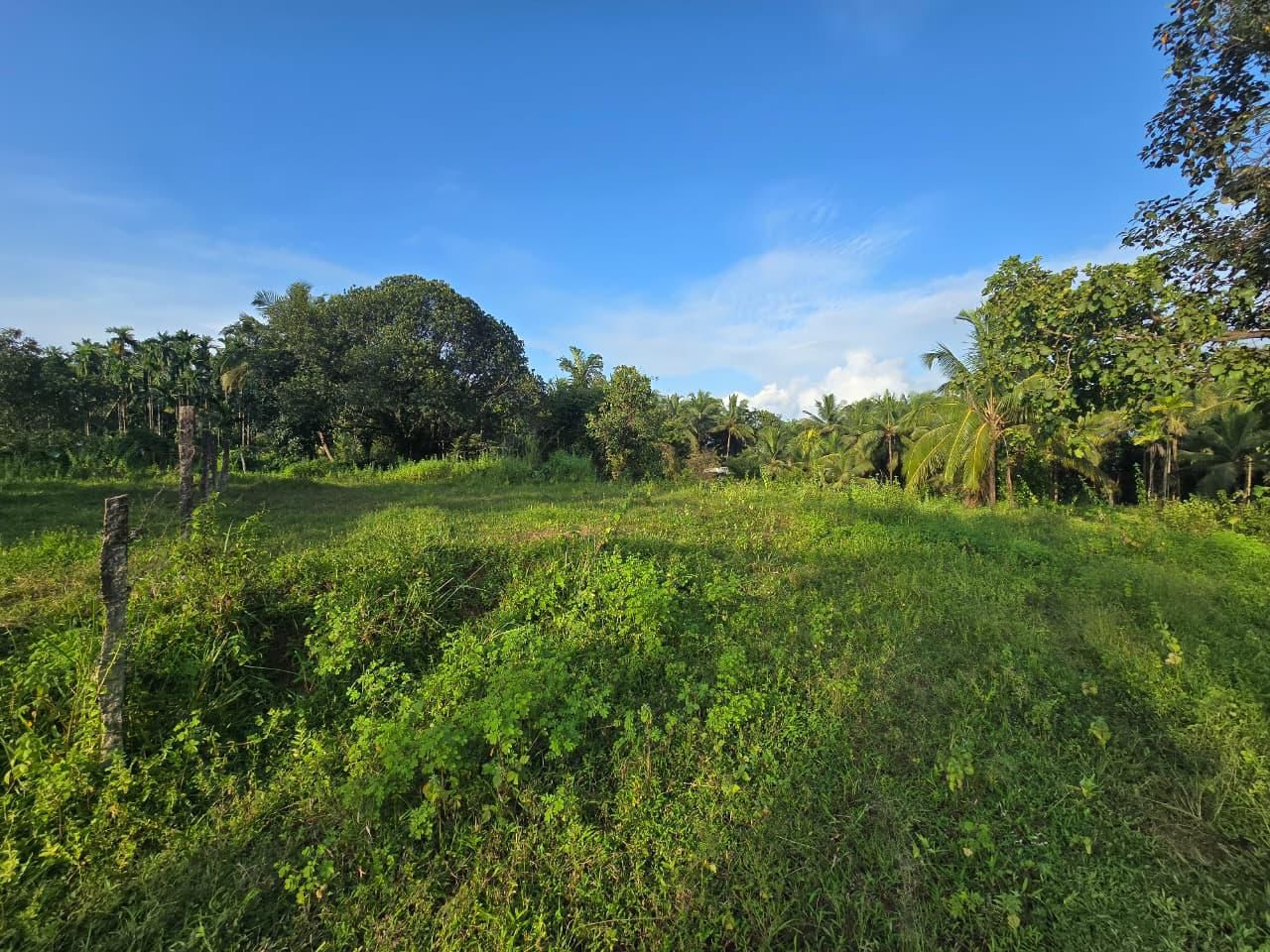 8 cent Land for sale at karkala,Udupi