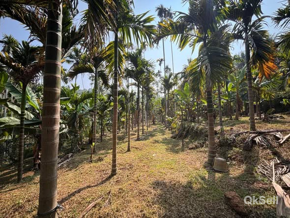 15 acre and 4 bhk House for sale at Kalichanadukkam ,Kasaragod