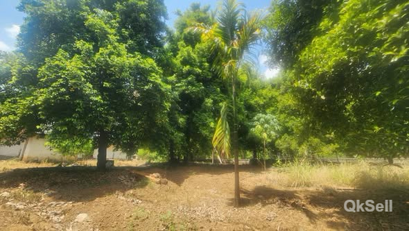 54 cents land for sale in Chalakudy, Thrissur