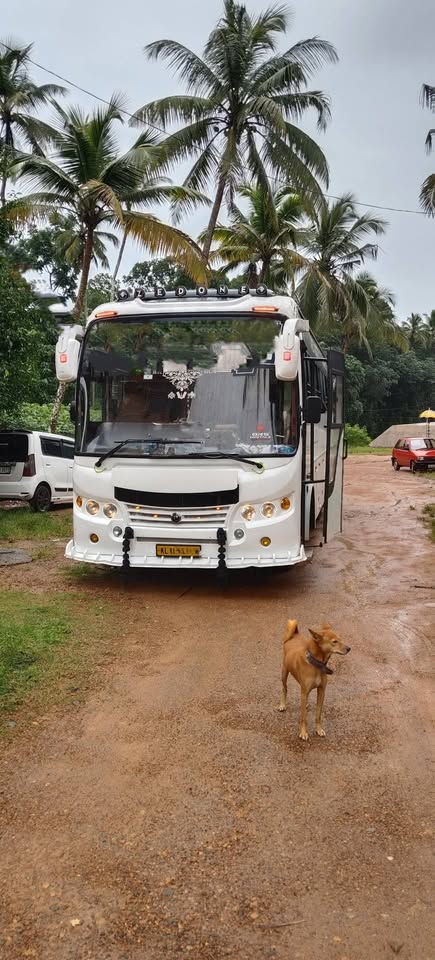 2019 model TATA LPO 1515 cumins 49 seats bus for sale