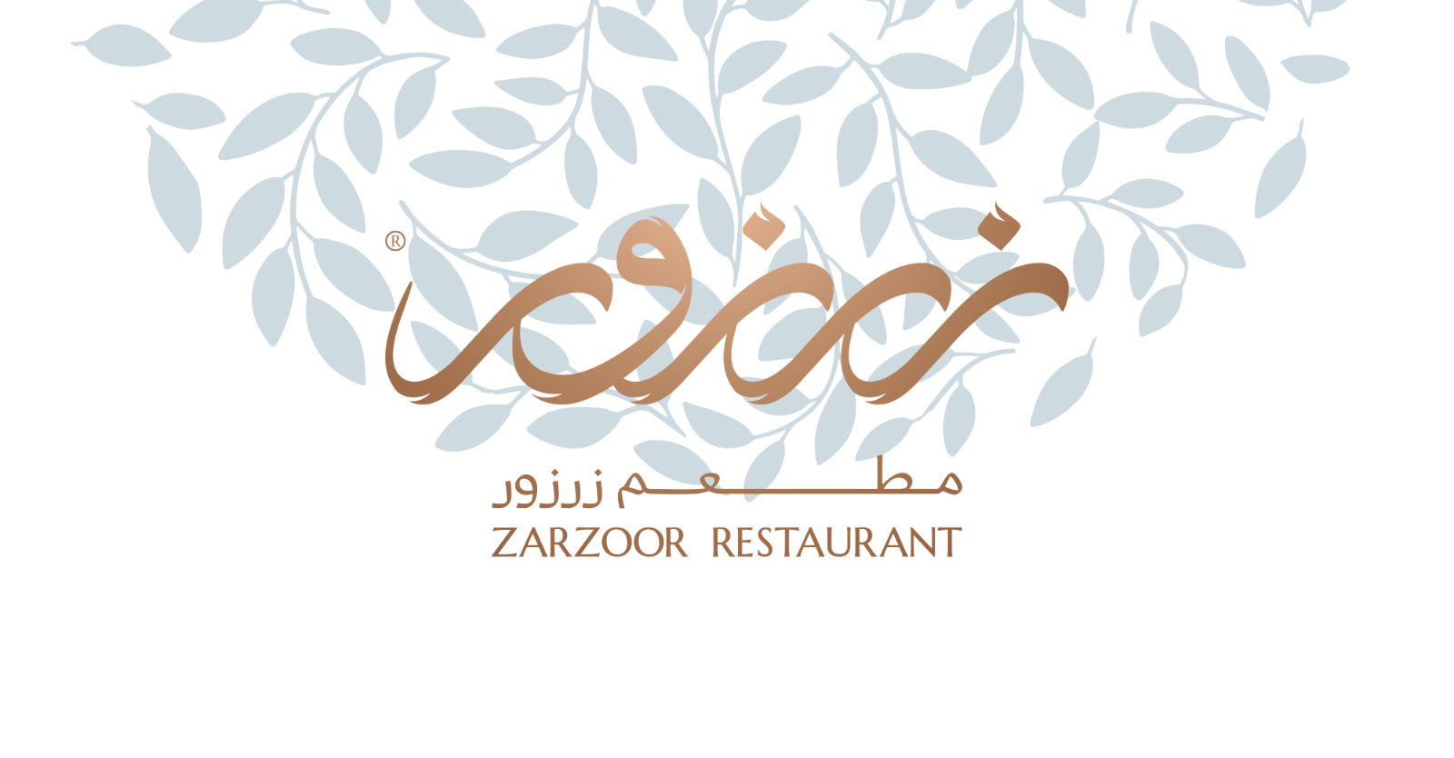 723dce95-6155-4acb-b34c-9ea54228dbcc-zarzoor-logo.png