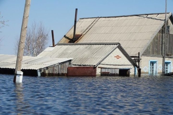 Зардап шеккендердің барлық шығынын мемлекет жабады – Скляр