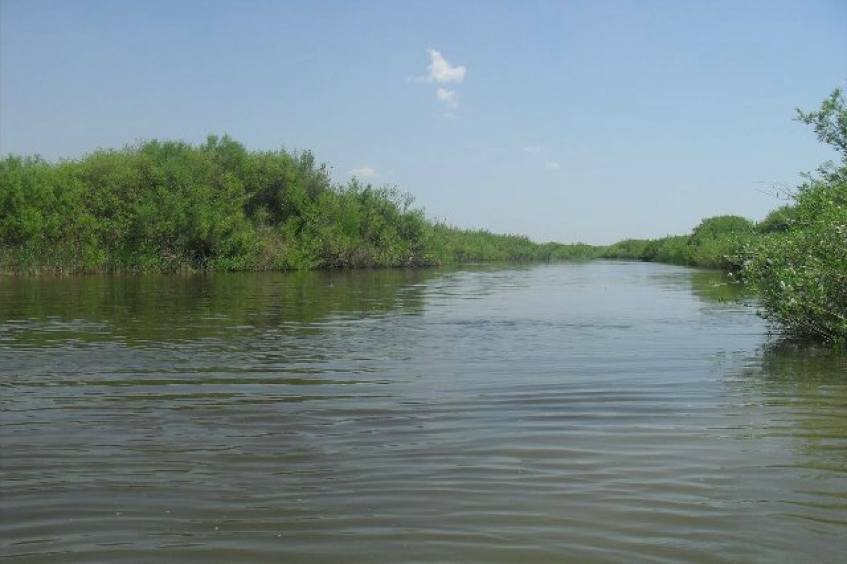 БҚО-да Жайық өзені 25 сантиметрге көтерілді