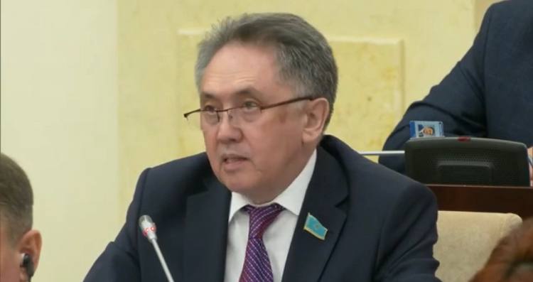 Казахстанские школьники изучают в 2,5 раза больше предметов, чем их сверстники в Японии и Канаде – сенатор