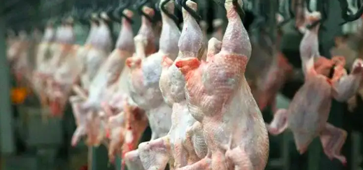 Казахстан возобновляет экспорт сельхозпродукции в Турцию после снятия ветеринарных ограничений