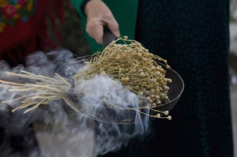 Адыраспан үшін 20 жылға түрмеге тоғытылуыңыз мүмкін, елшілік мәлімдеме жасады