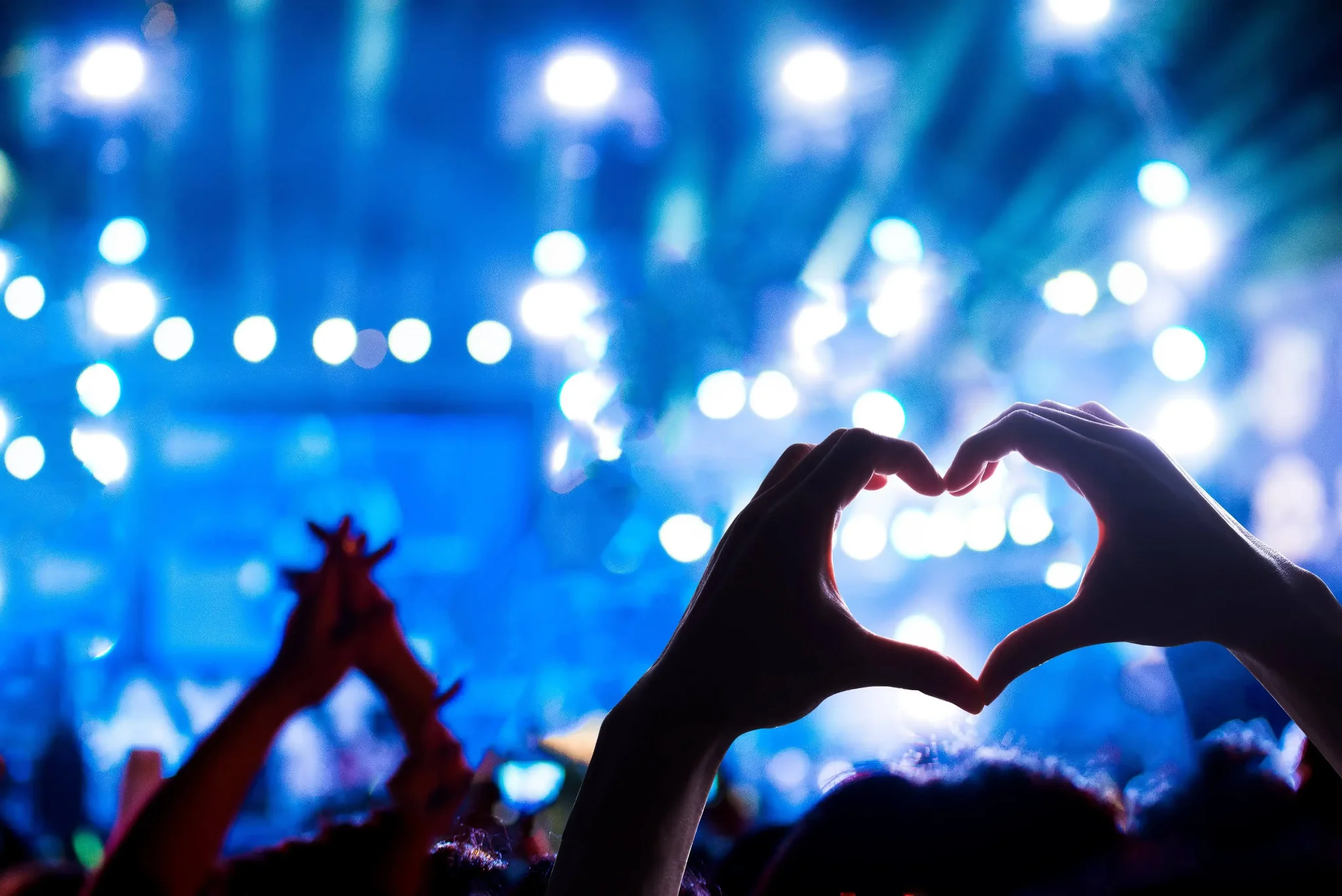 For Music Lovers