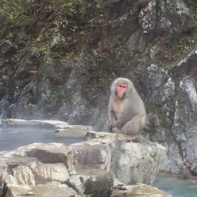 ひー選手