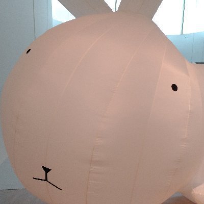 外資系うさぎのちょこさん(noteでキャリア相談受付中)