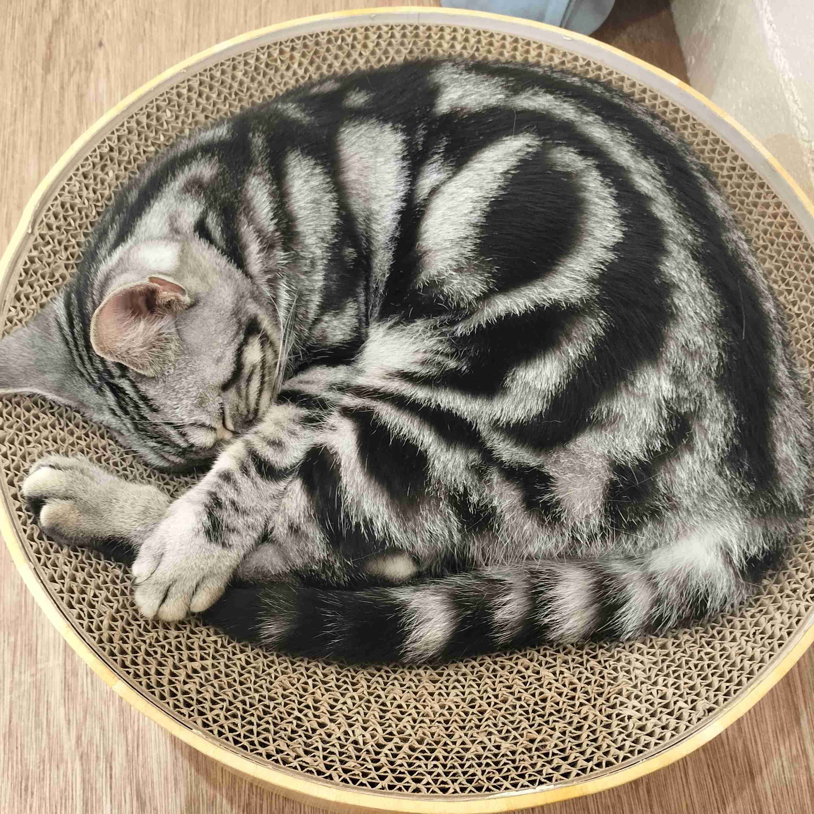 ぽめくら