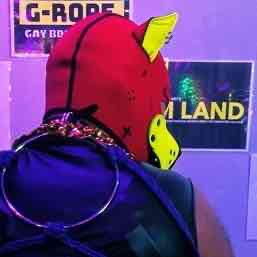 レッド・ハウンド