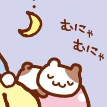 ねこたん取締役❕🐈