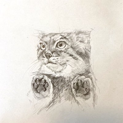 マヌル