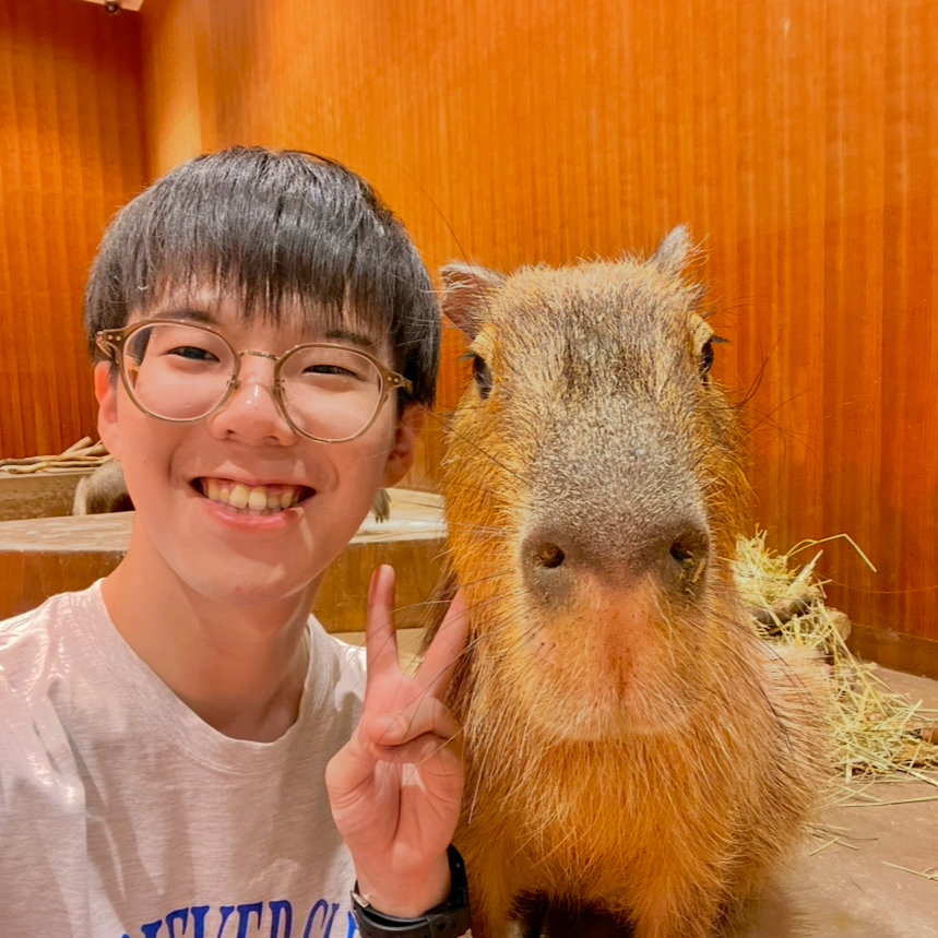 わたぷ