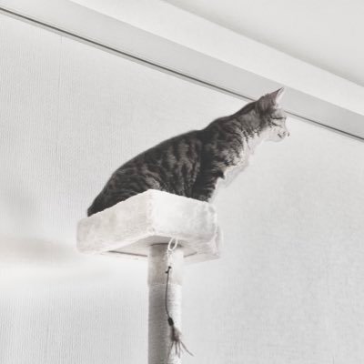 しーか