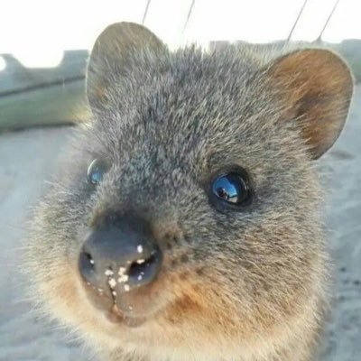みなと