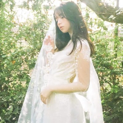 坂道妄ツイとブログと夜