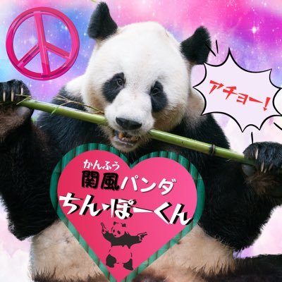 【関内風俗】ふぃーりんぐっど応援隊長📣関風(かんふう)パンダ🐼『ちん•ぽーくん🫶🏻✌🏾』