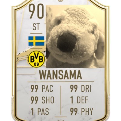 wan。24