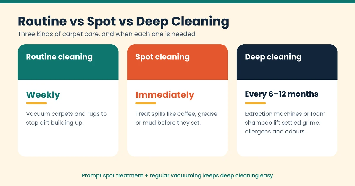 Routine, spot and deep carpet cleaning compared by how often each is needed