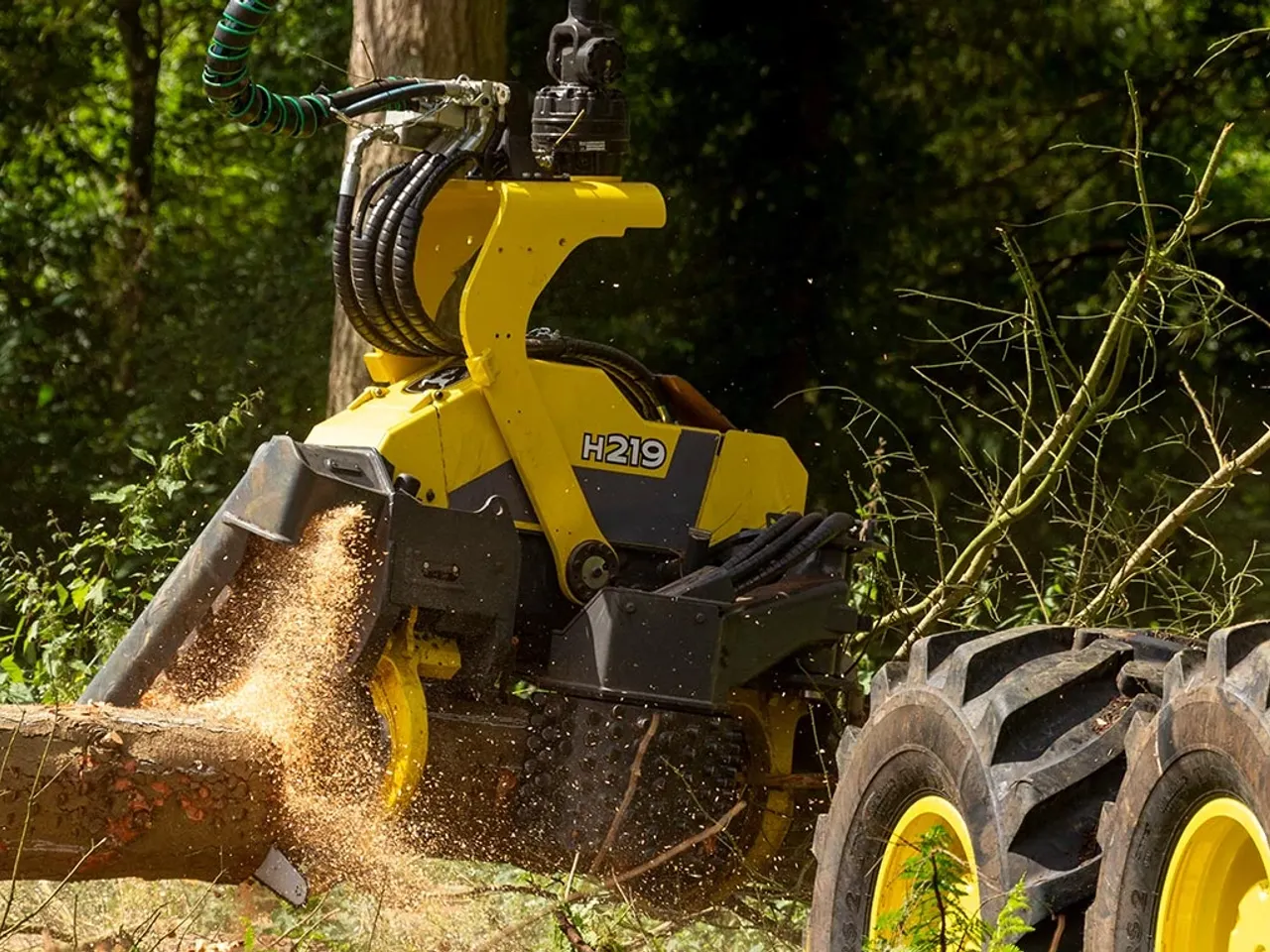 H219 Harvester Head - John Deere Africa & Middle East