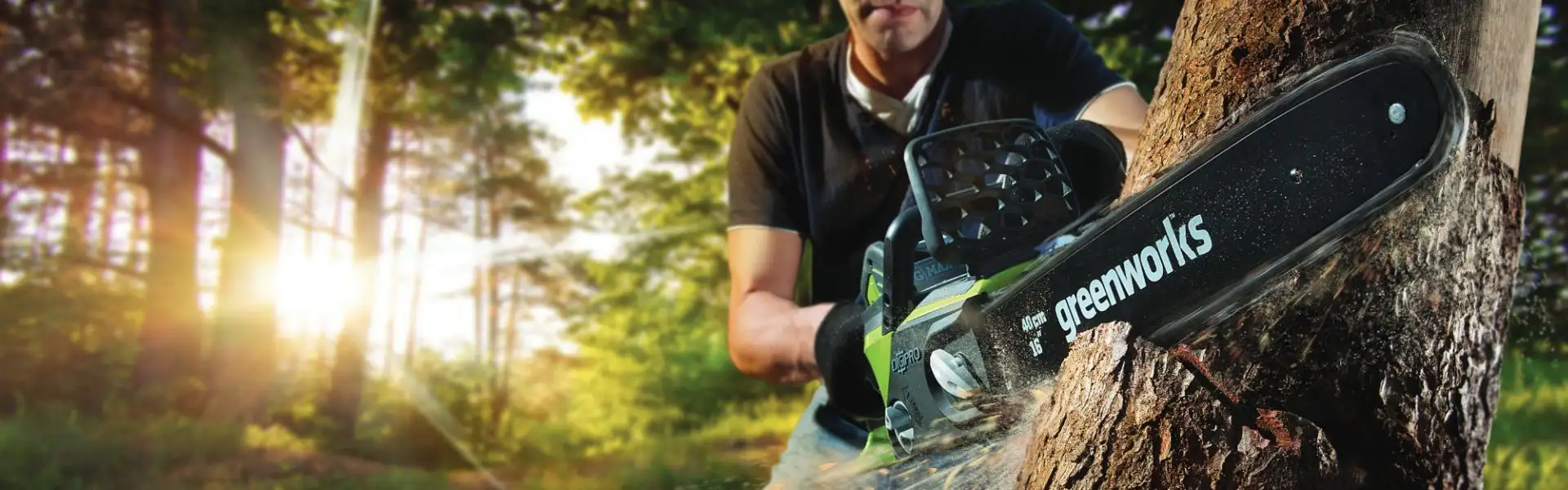 Greenworks cordless power tools and garden equipment